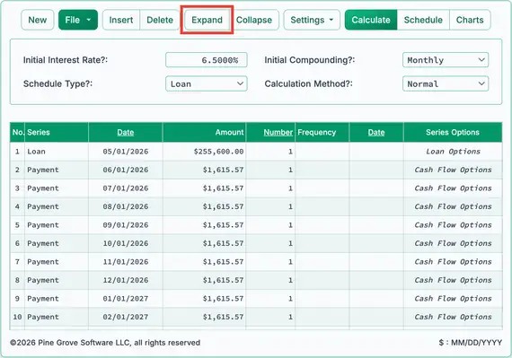 Preparing to insert extra payments