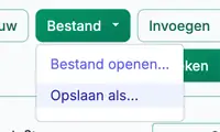 opslaan‑ en openen‑functies