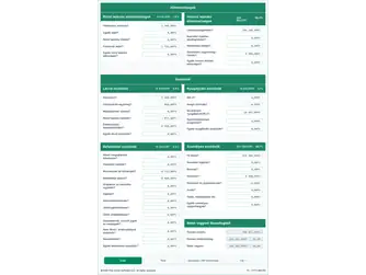 Screenshot of the net worth calculator interface