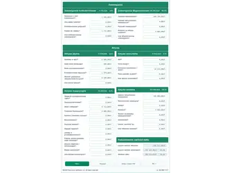Screenshot of the net worth calculator interface