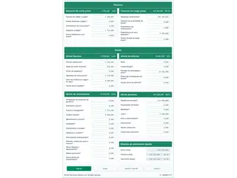 Screenshot of the net worth calculator interface
