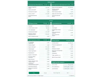 Screenshot of the net worth calculator interface